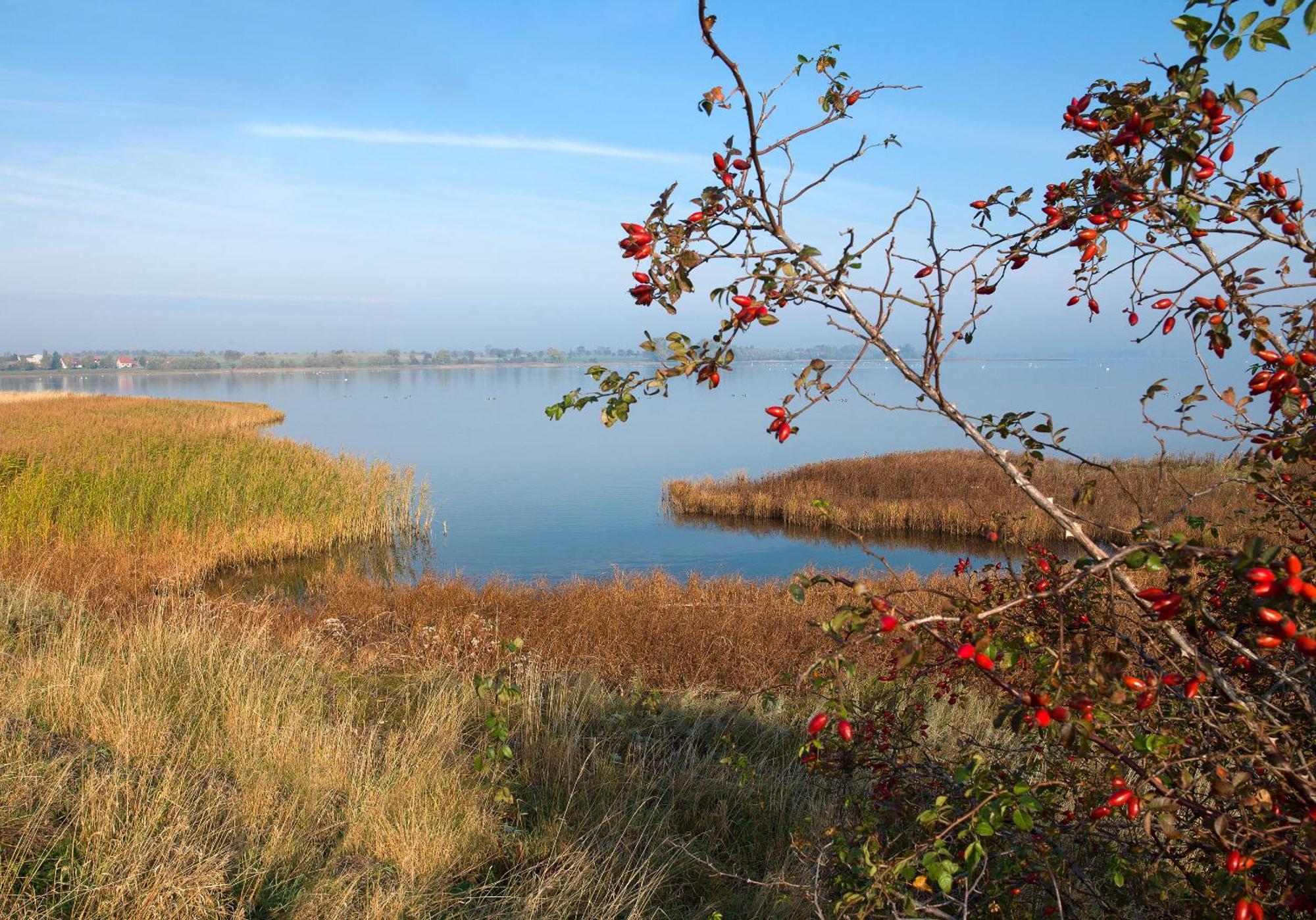 Luett Kajuet - Fip Park Apartment Insel Poel Bagian luar foto